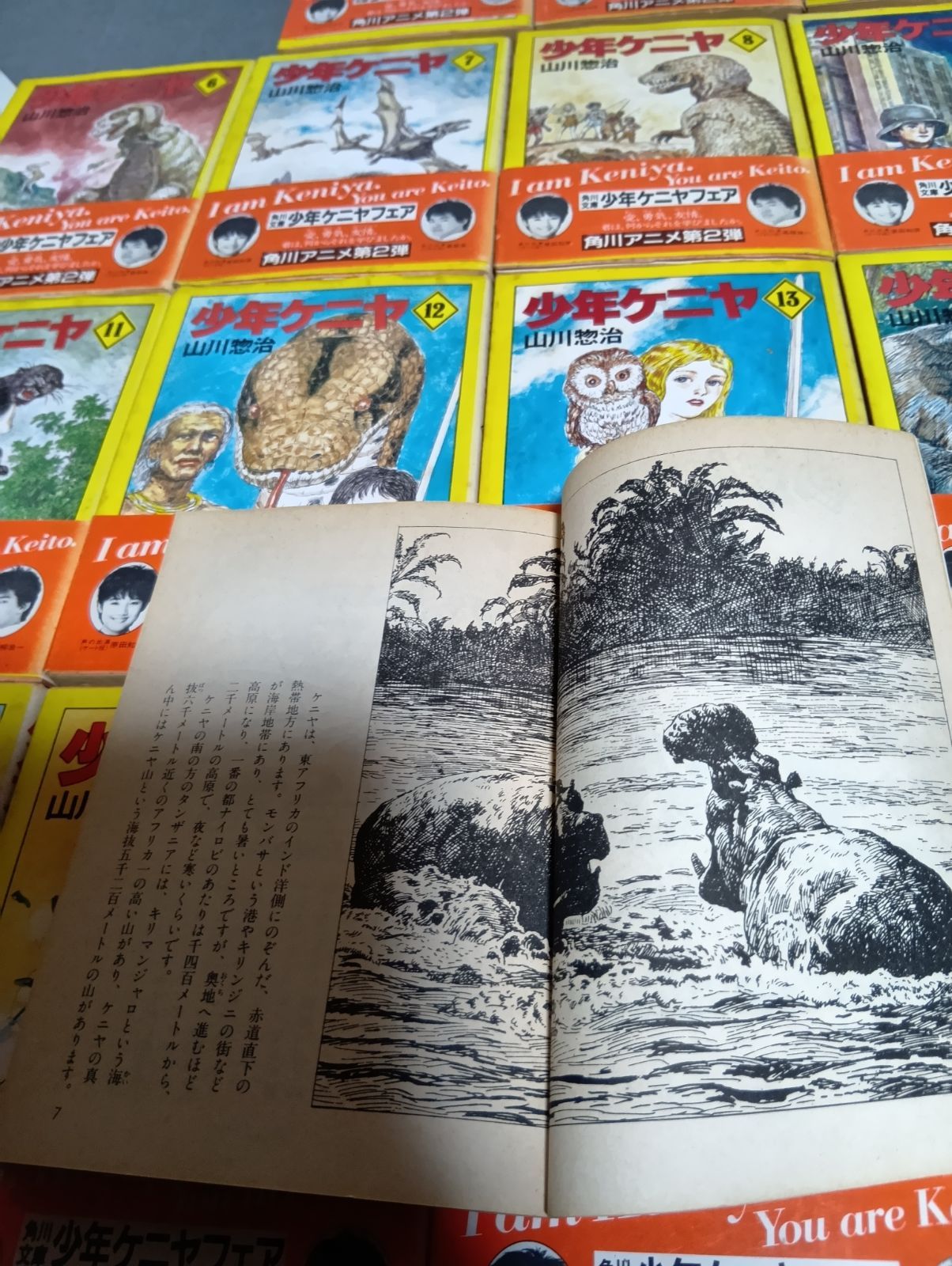 少年ケニヤ 全巻セット 山川惣治 - メルカリ