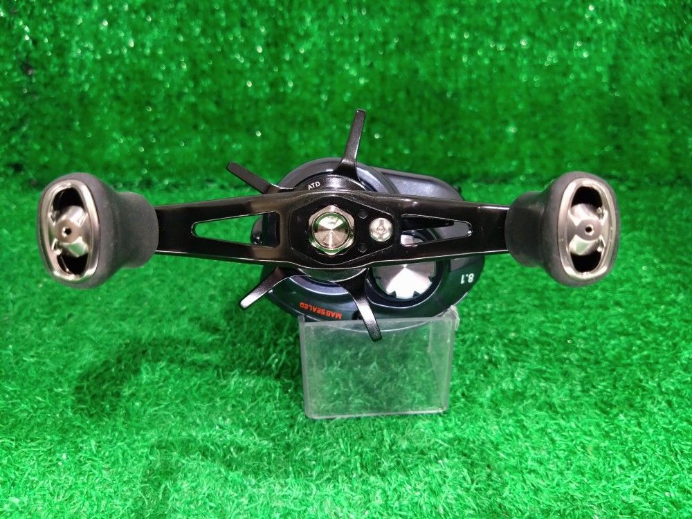  和塩 ダイワ 21スティーズA TW HLC 8 1 R 併売 ベイトリール(ルアー用) リール