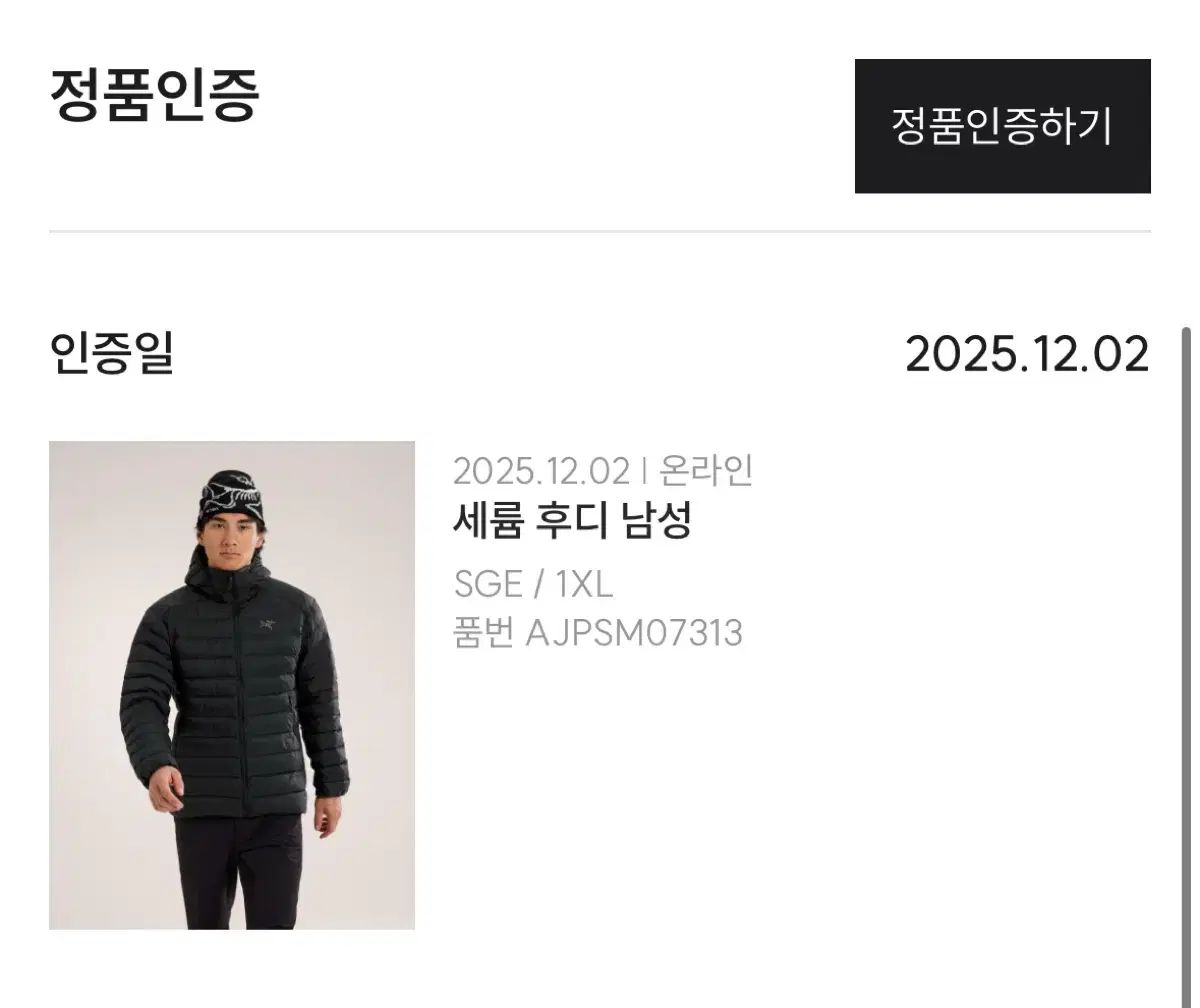 25 ss ARC TERYX Cerium アークテリクス セリウム フーディー ストーングリーン XL