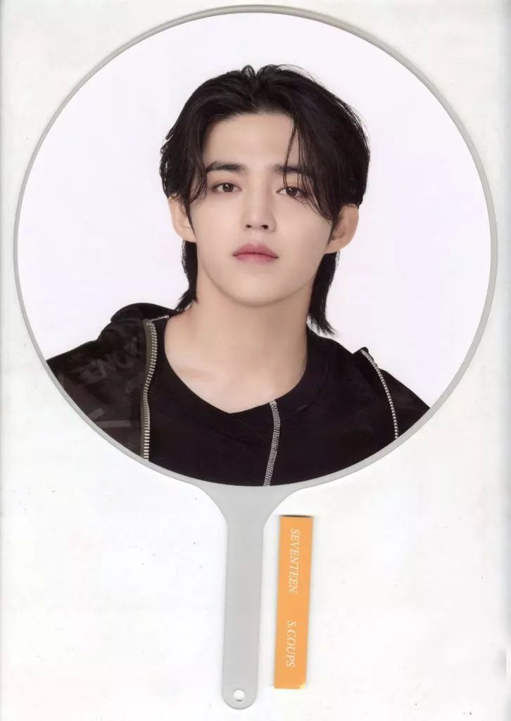 SEVENTEEN Be The Sun SEOUL S.Coups うちわ エスクプス うちわ Be The