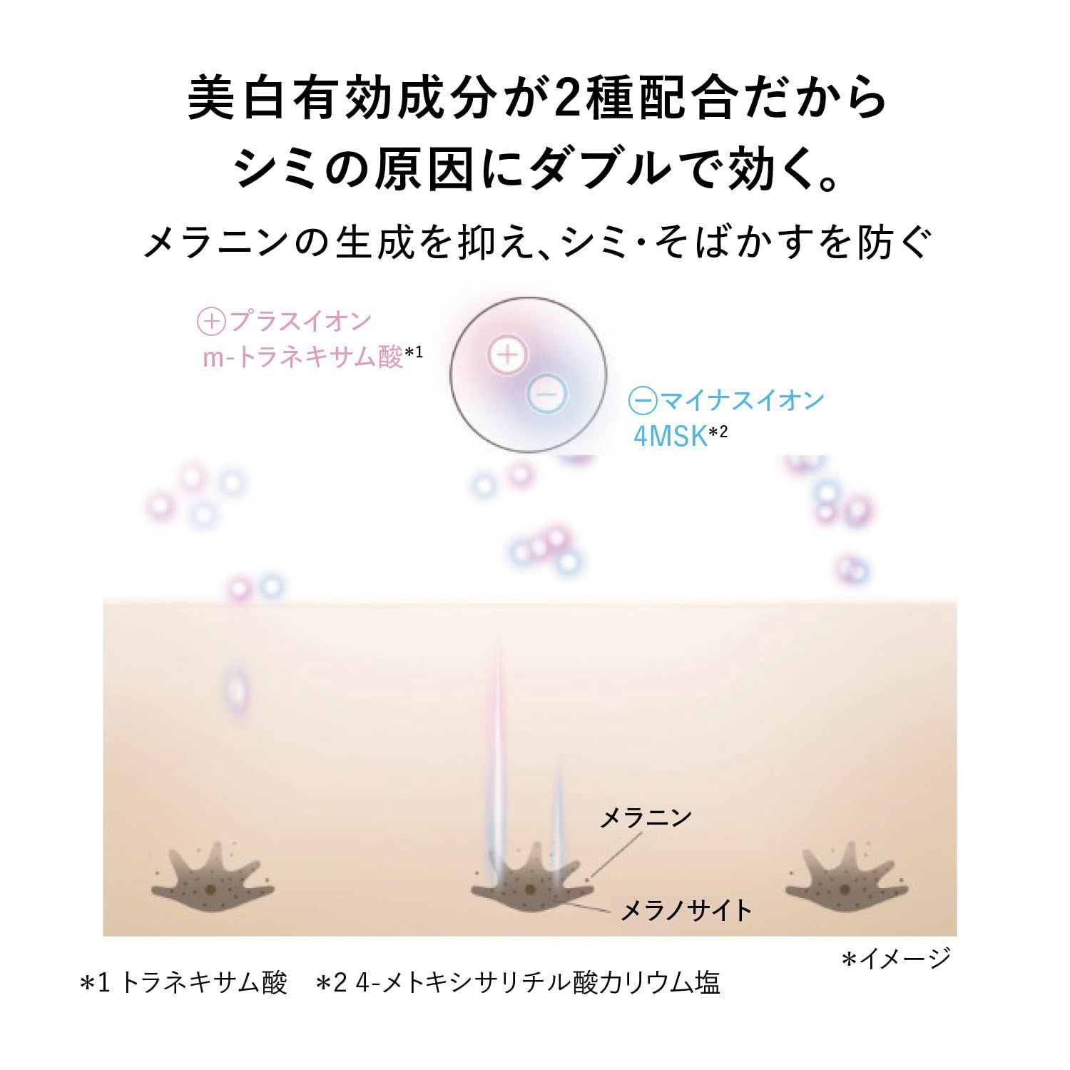 HAKU ハク メラノフォーカスIV 本体 特製サイズ1本付き 45g+10g 【医薬