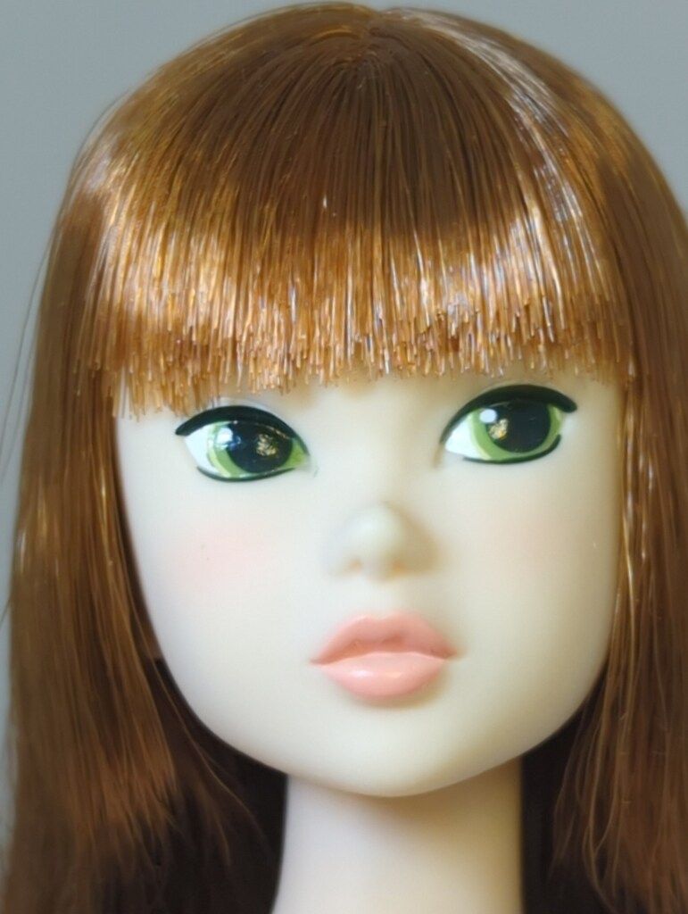  ペットワークス CCS-momoko Today s momoko 1810 人形本体 momoko