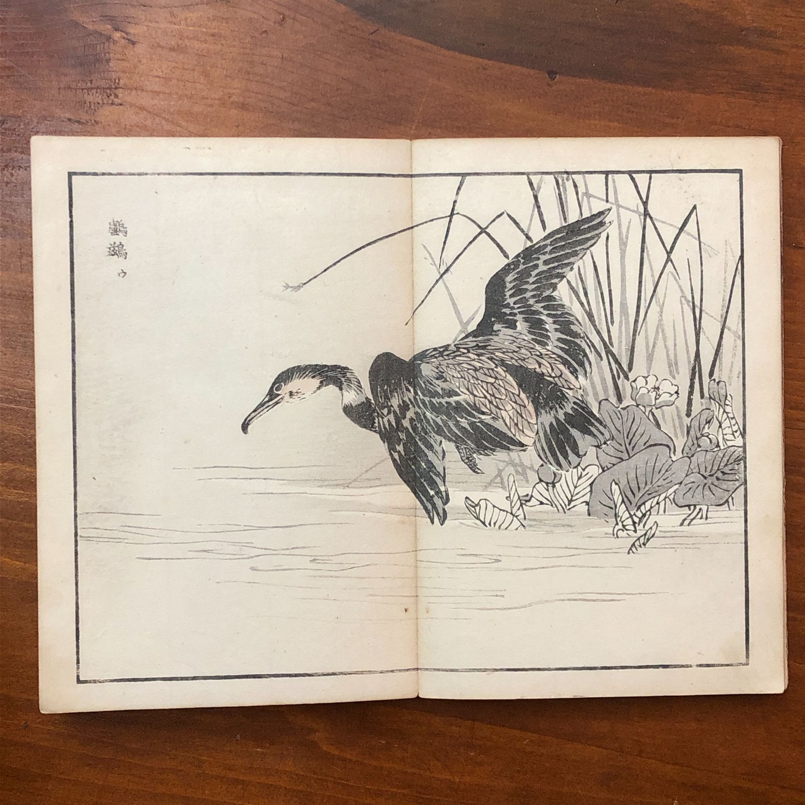 棊嶺画譜 花鳥之部 地 幸埜楳嶺 山田芸艸堂 明治38年 ☆日本画/画譜 