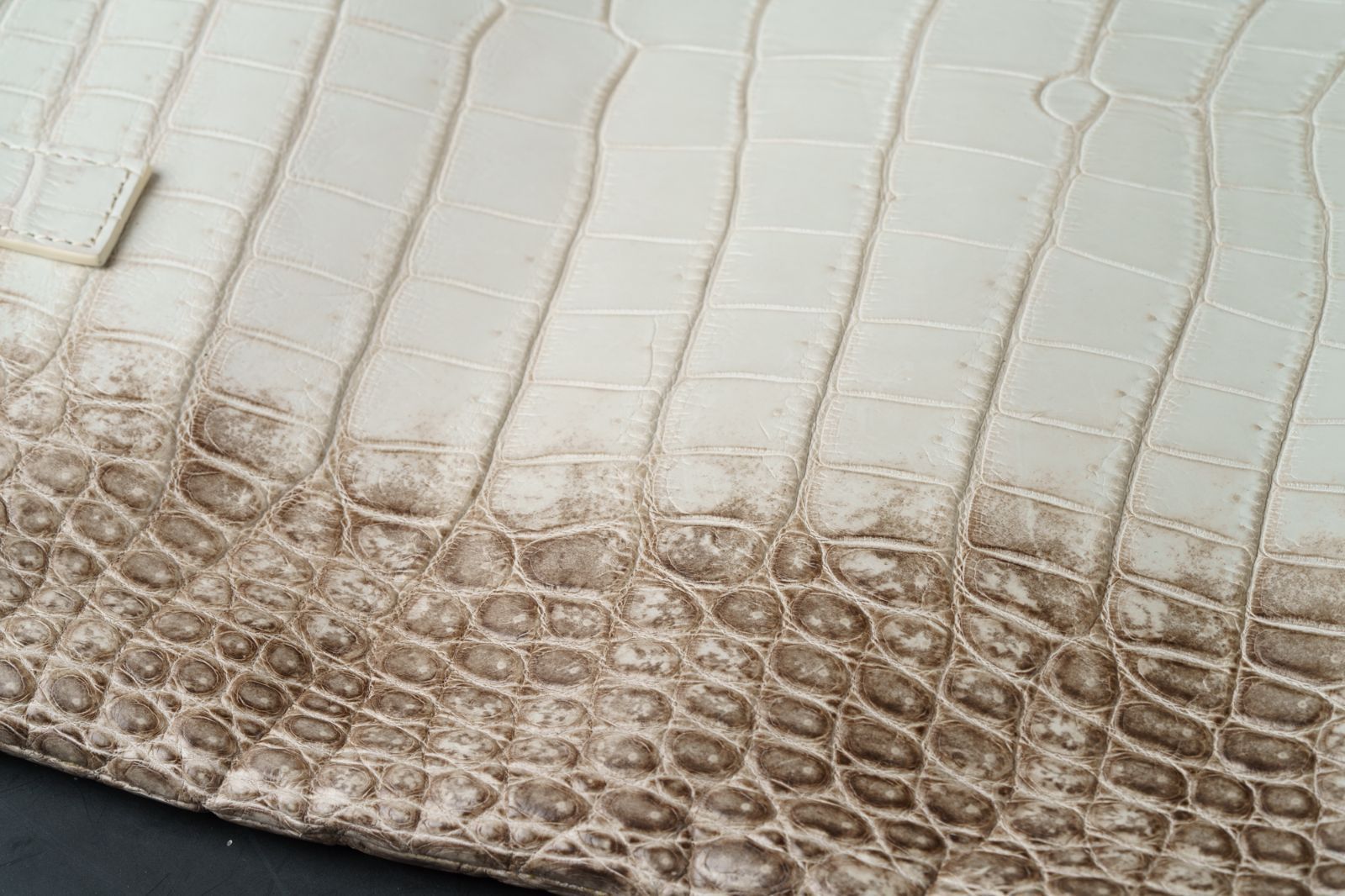 ヒマラヤクロコダイル使用