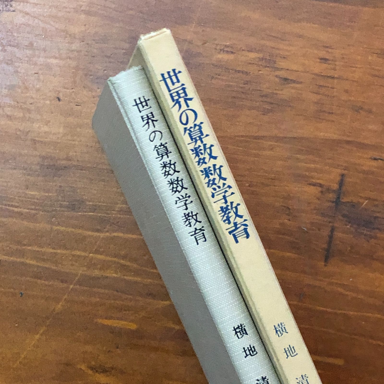 世界の算数数学教育 ? 問題別比較研究 横地清 国土社 1960年6月5日 数学教育/比較研究/学習理論/教育学/教育比較/算数指導/教材研究/教育史/学校教育/学術研究 aaB28ynm17