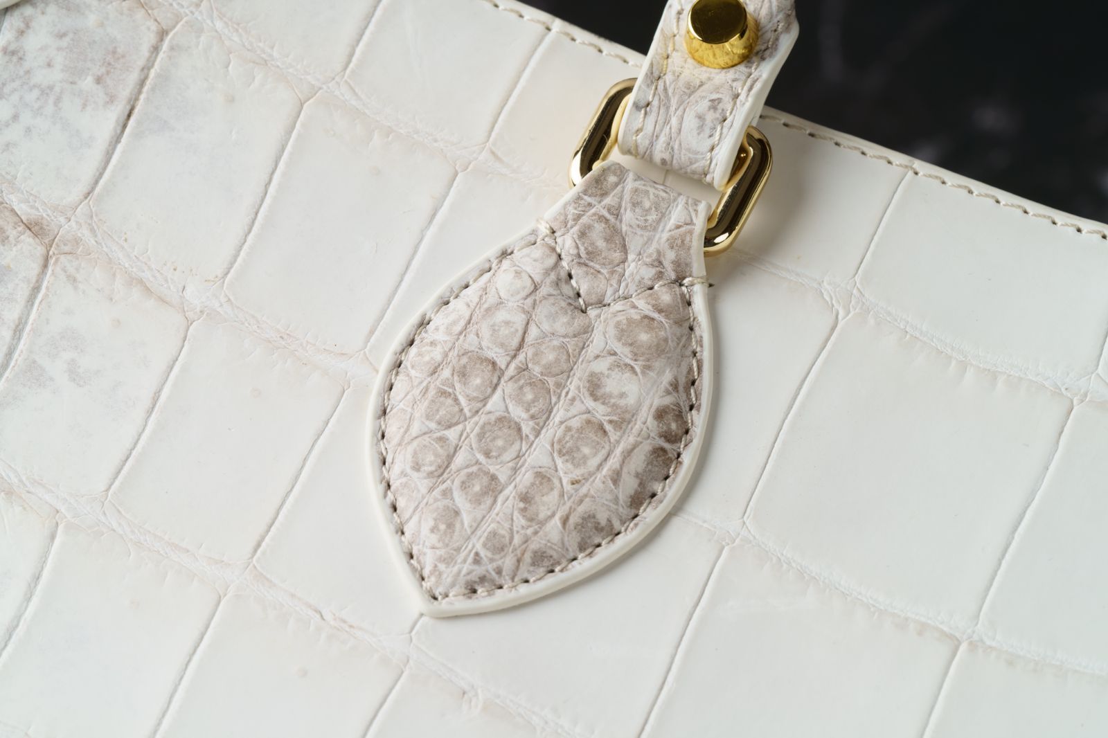 ヒマラヤクロコダイル