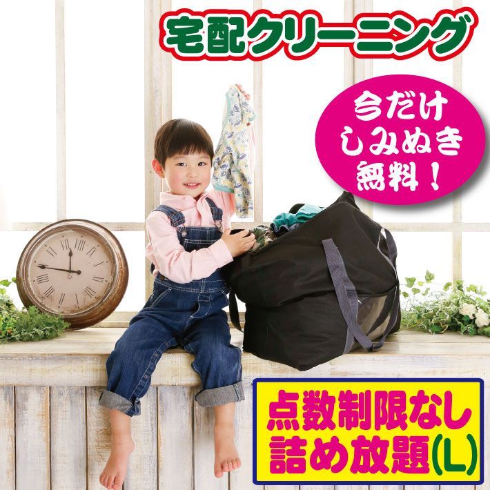 宅配クリーニング 詰め放題Lサイズ