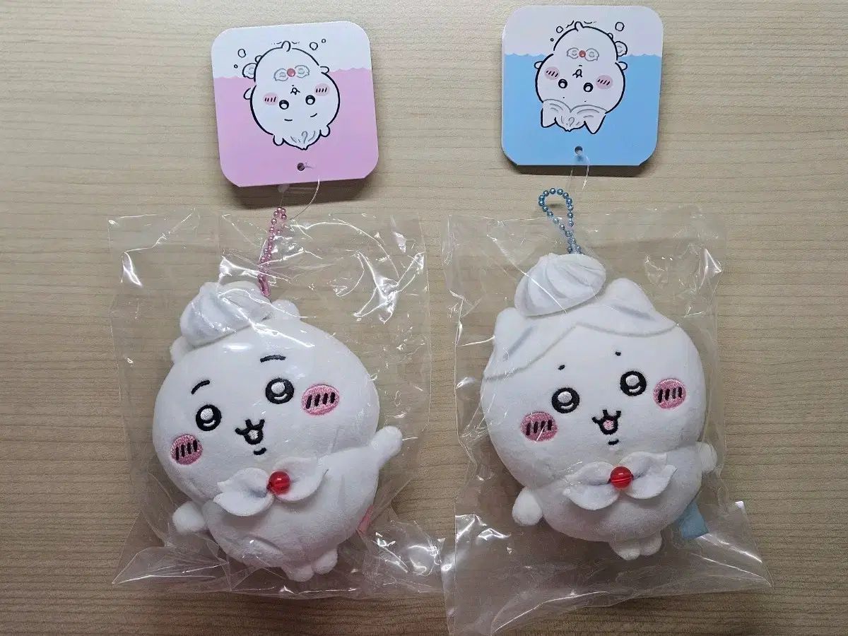 インフェルノX テラスタルフェスex MEGAドリームex コレクション