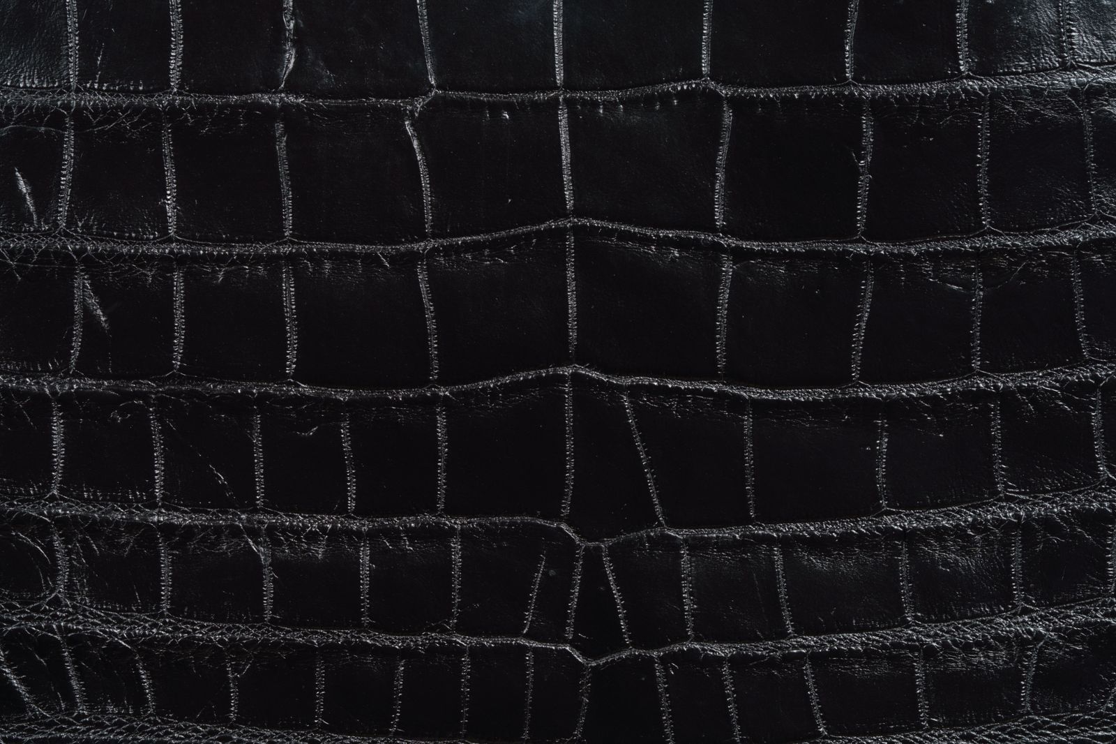 クロコダイル使用