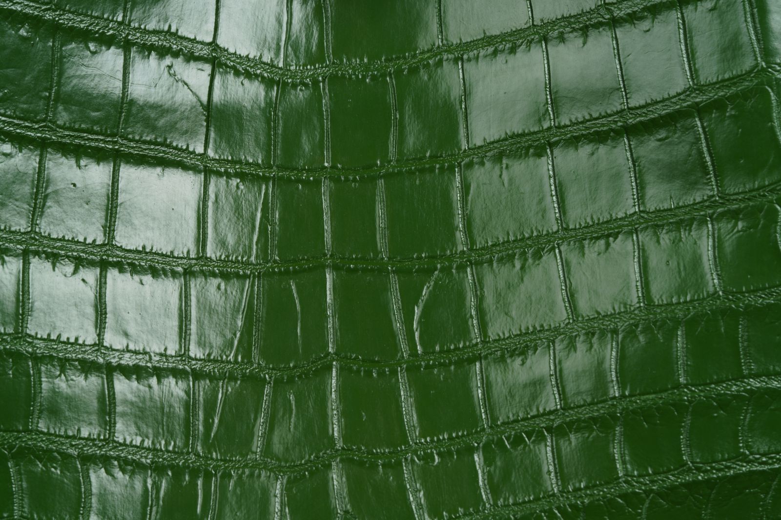 モスグリーンの上質2