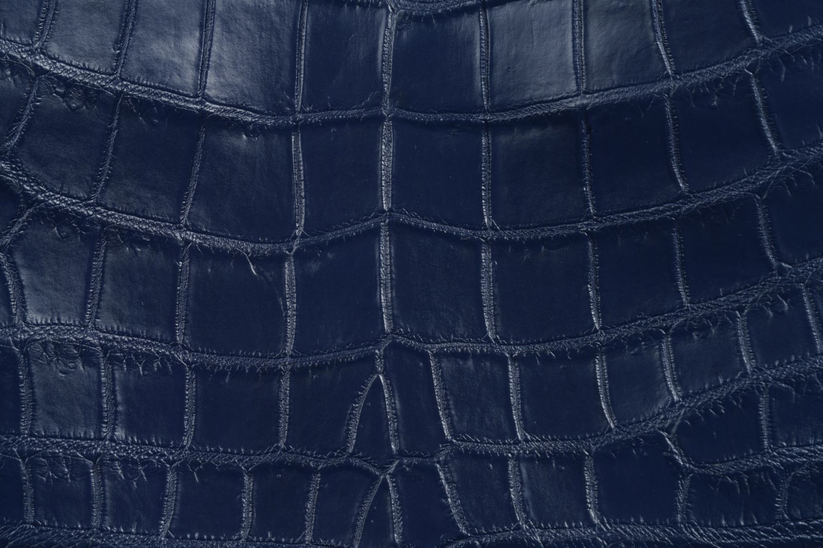 WAYミニトート｜シャイニング加工が輝く