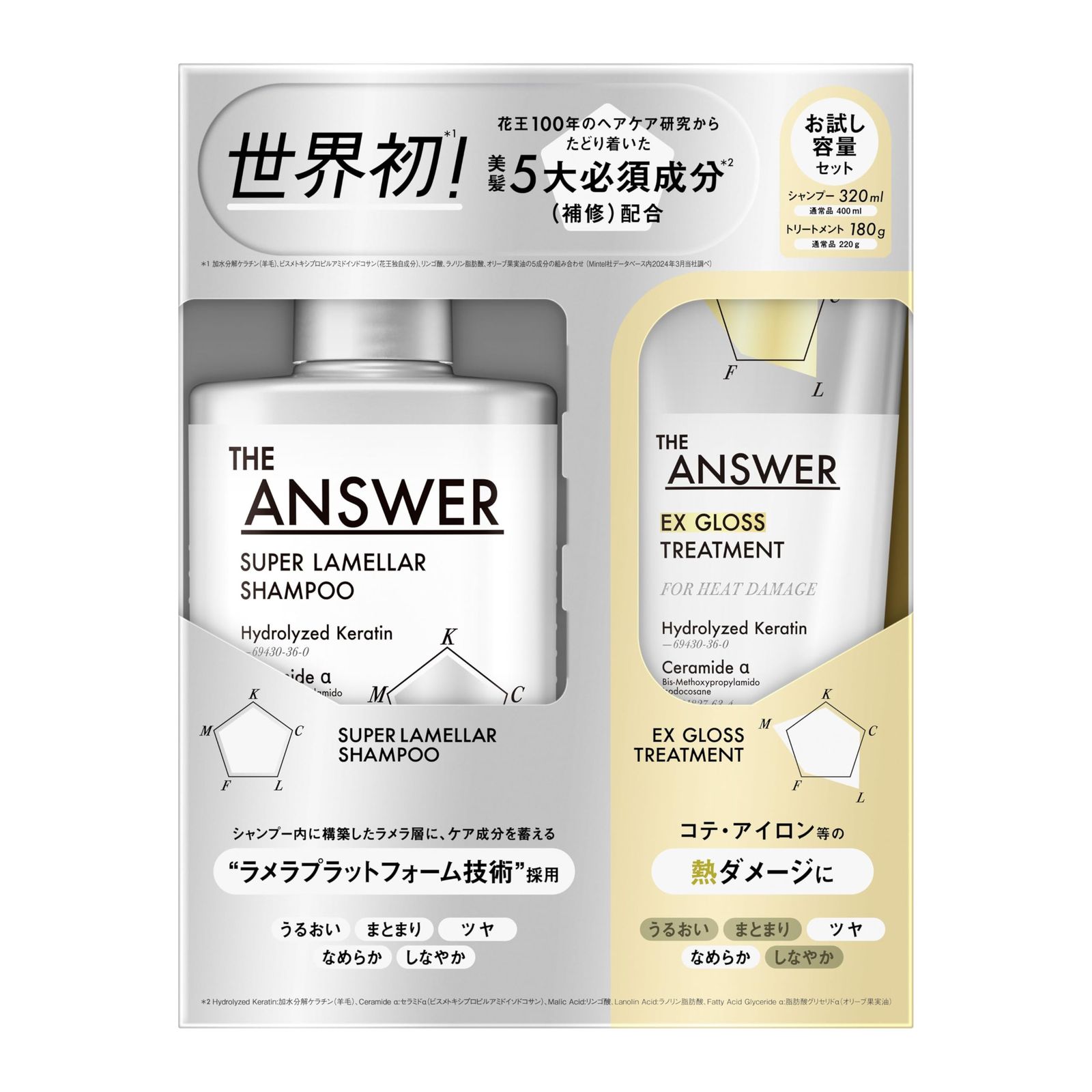 THE ANSWER ジ アンサー スーパーラメラシャンプー＆EXグロストリートメント FOR HEAT DAMAGE（ツヤ なめらか）お試し容量ペア 320ml＆180g 