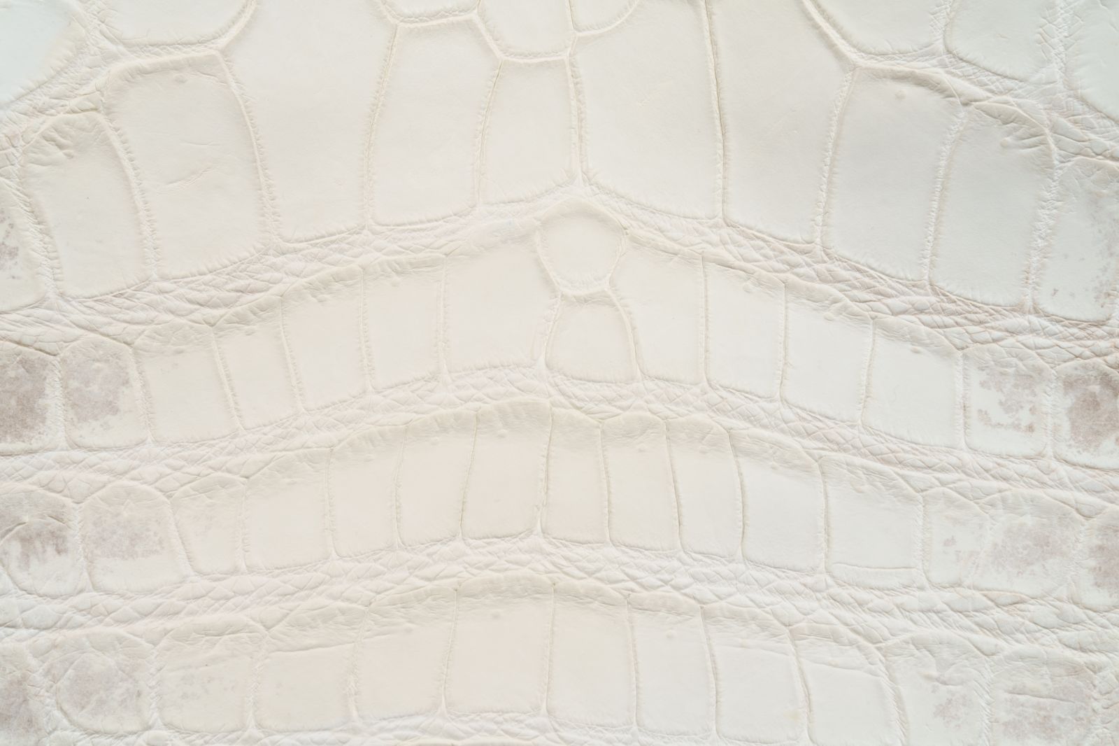  クロコダイル ヒマラヤカラー ミニトートバッグ 2 WAY ハンド＆ショルダー レザー トートバッグ バッグ