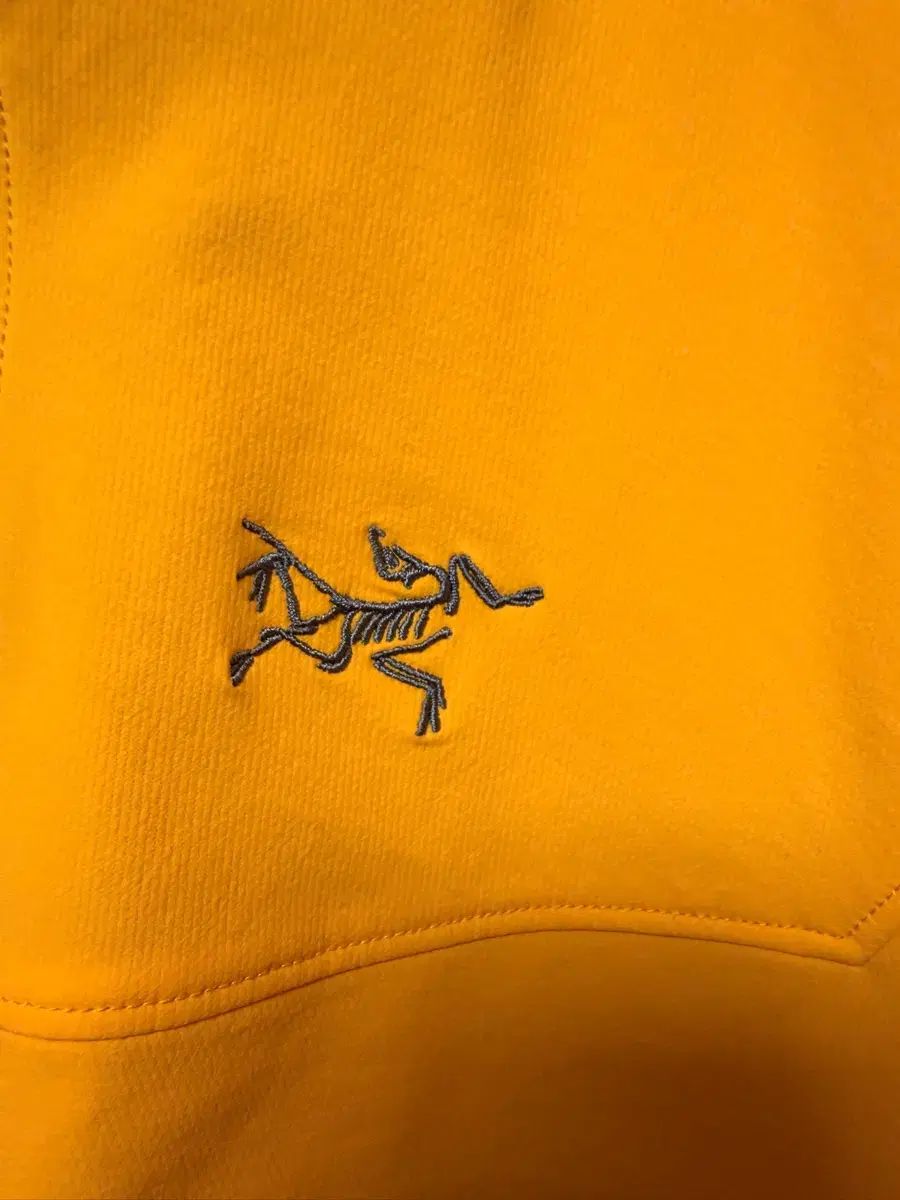 ARC TERYX GAMMA ガンマ フーディー S