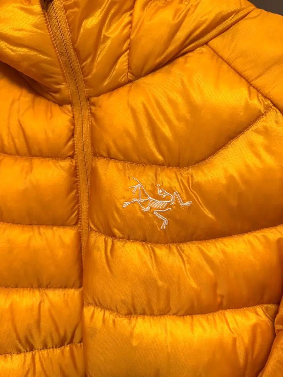 ARC TERYX レディース セリウム LT フーディ L