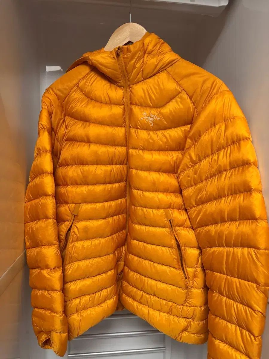 ARC TERYX レディース セリウム LT フーディ L