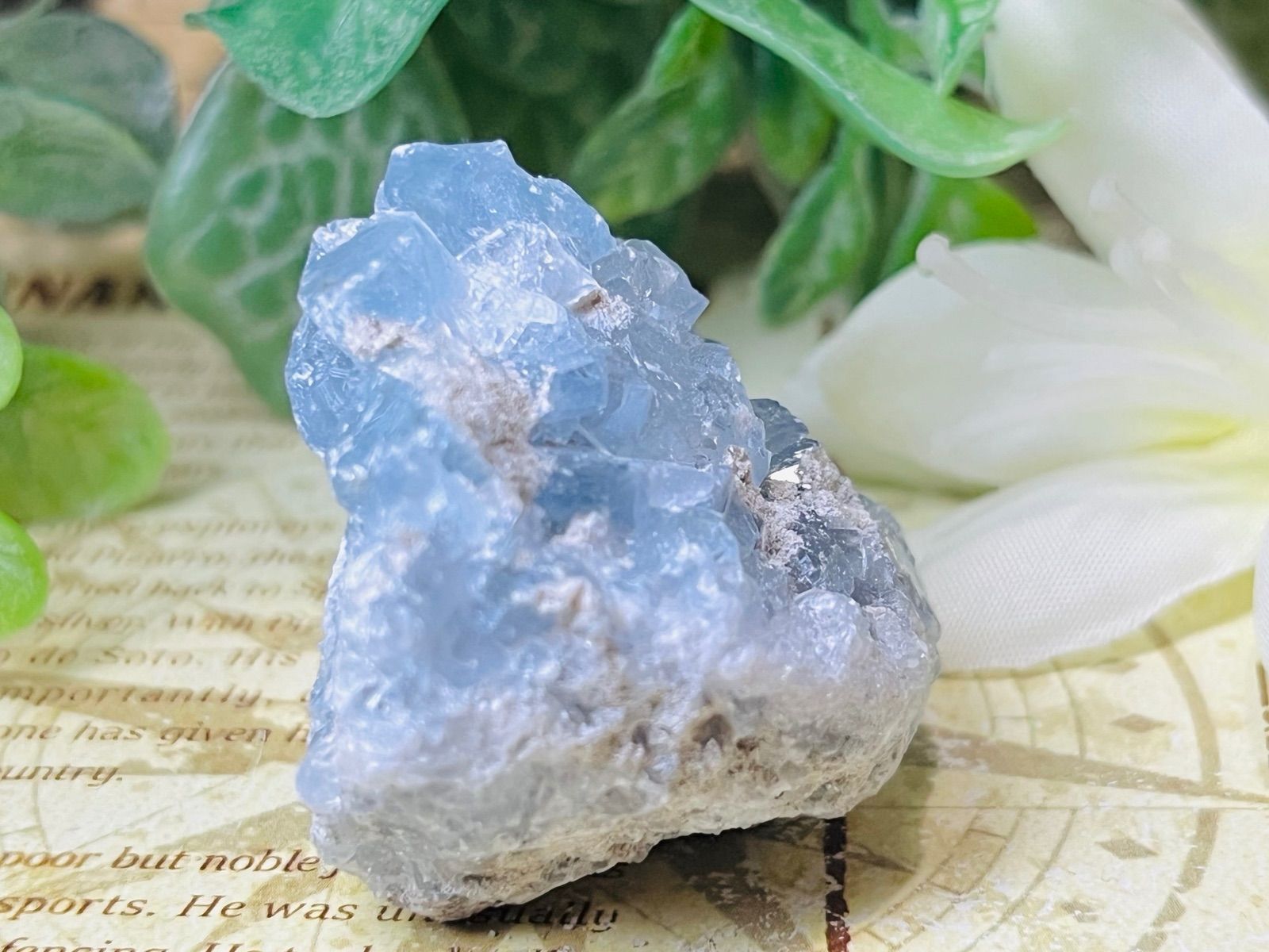 天使の石໒꒱✨ セレスタイト 天青石 クラスター 原石 ラフストーン