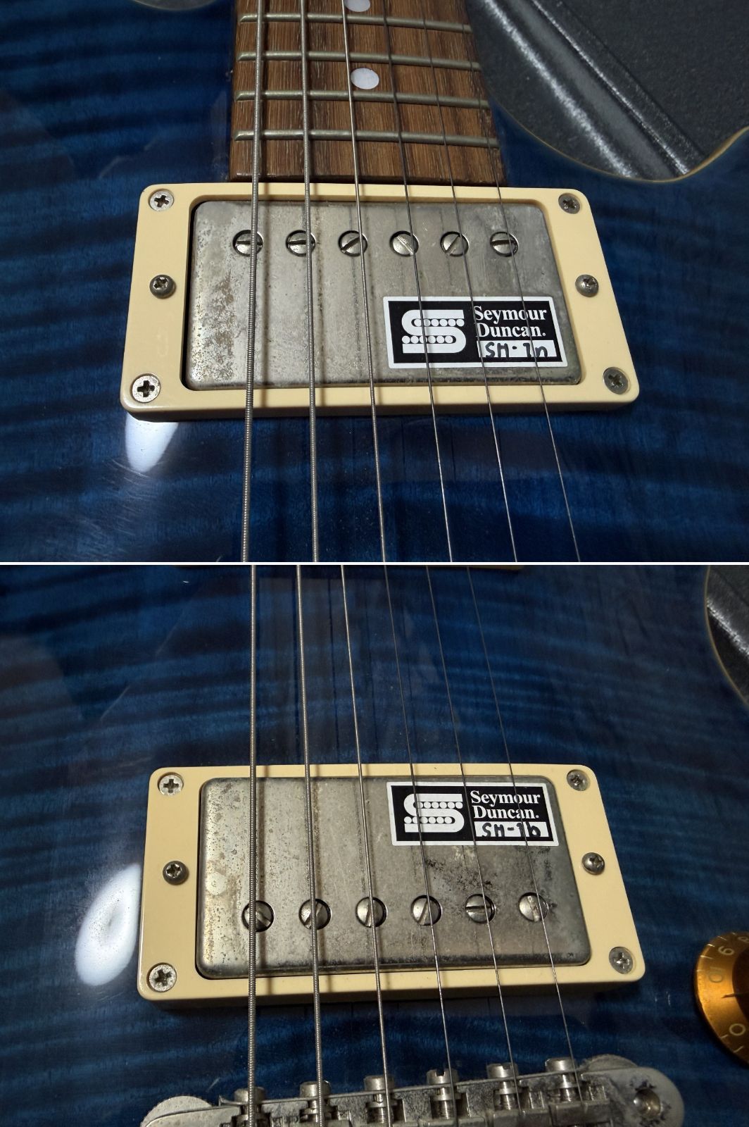 EDWARDS E-PO-100D ポットベリー ESP直系ブランド Seymour Duncan