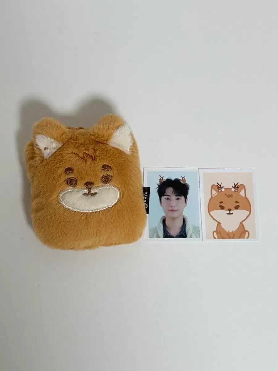 DAY6 ヨンケイ　ぬいぐるみ ヨンケイ（Young K） 証明写真ホルダー ぬいぐるみ ケ DAY6（デイ