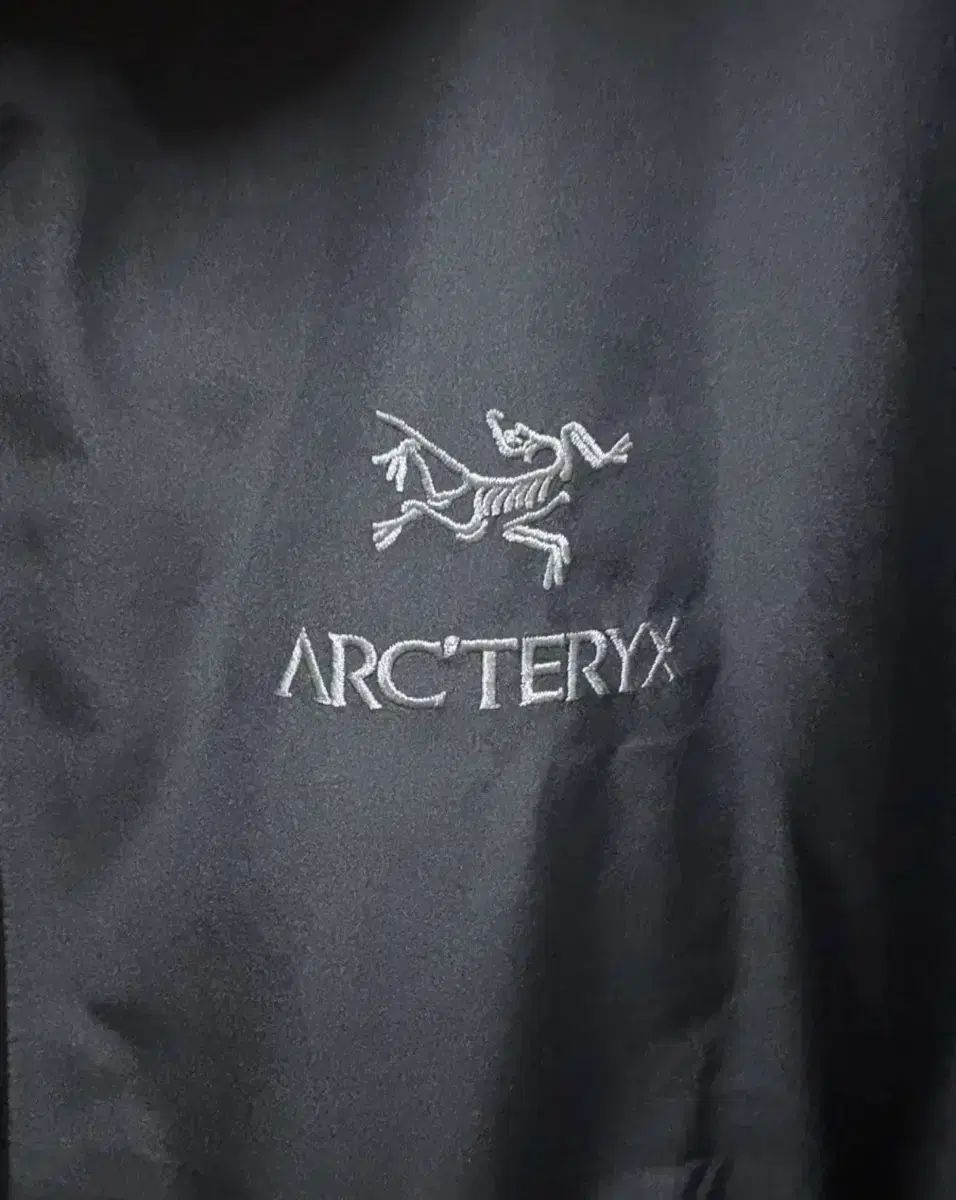 アークテリクス ベータ