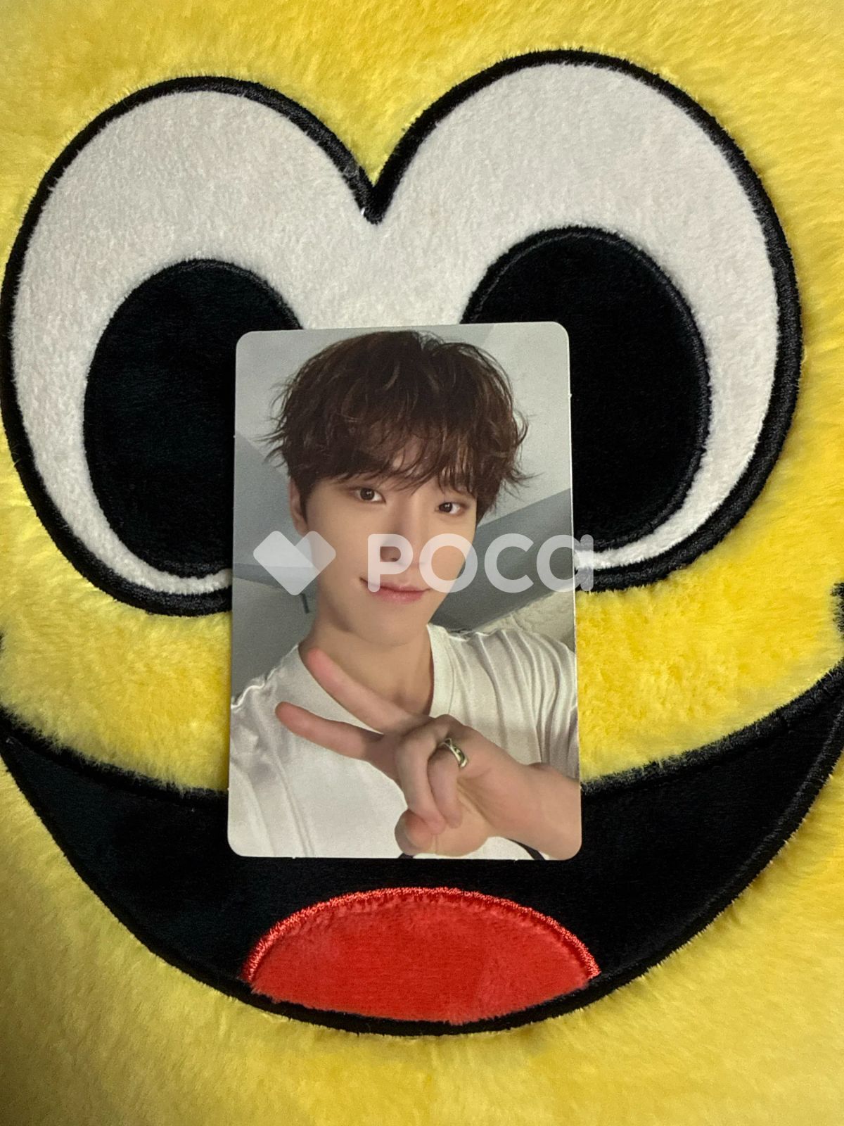 韓国限定☆2023カラットゾーン トレカ ディノ Seventeen ディノ セブチ 2023 SVT 7TH FAN MEETING SEVENTEEN in