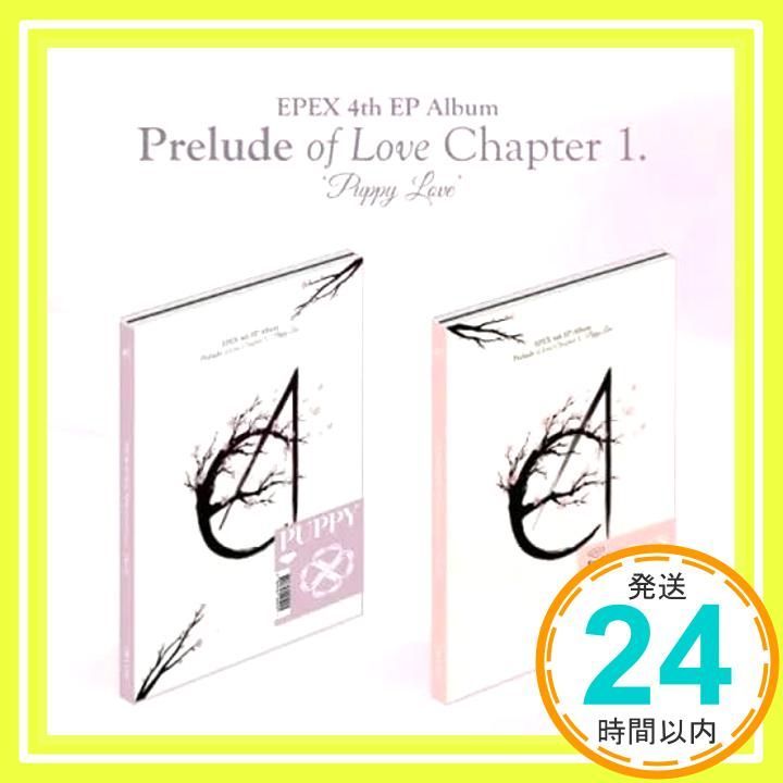 4 th EP Album Prelude of Love Chapter 1. Puppy ランダムカバー バージョン CD _03