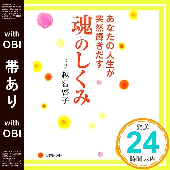 帯あり あなたの人生が突然輝きだす魂のしくみ Feb 01 2012 越智啓子_07