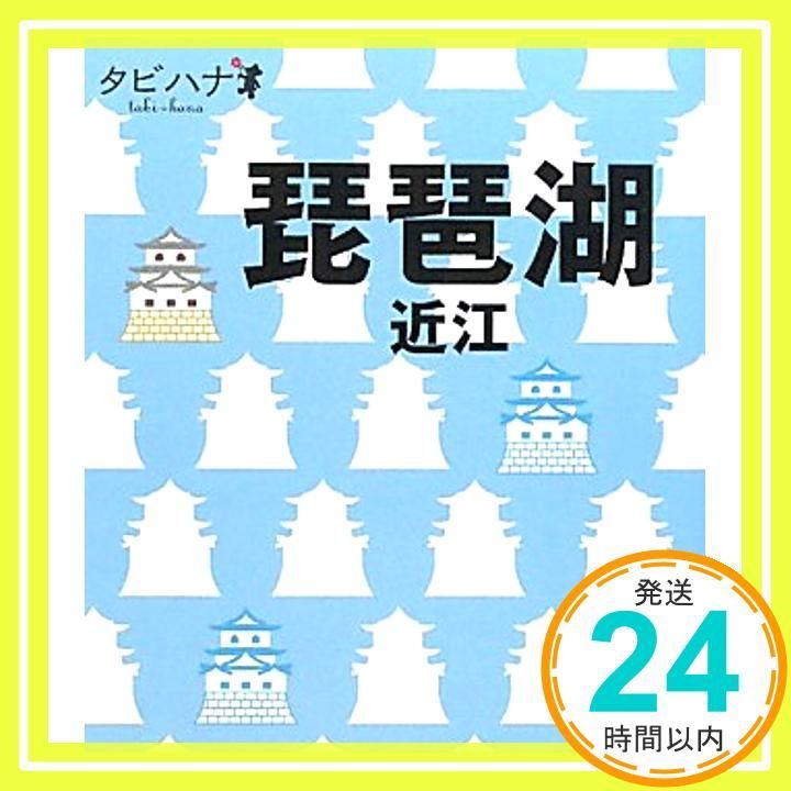 琵琶湖 近江 タビハナ Feb 04 2011 _03