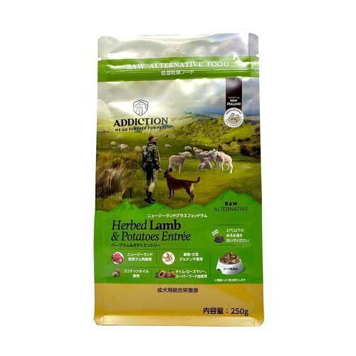 ソフトボード、ファンボード、8.0.、93リットルepsコア横浜市南区