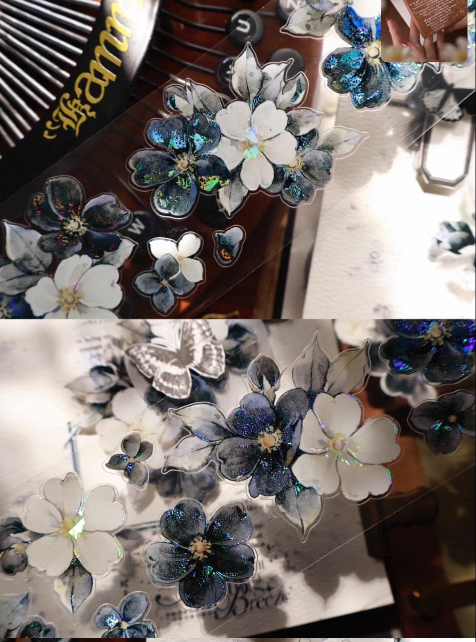 贝壳光 黑白叙语 ダイカット加工 5.5cm×6m 120cm/loop 海外マスキング