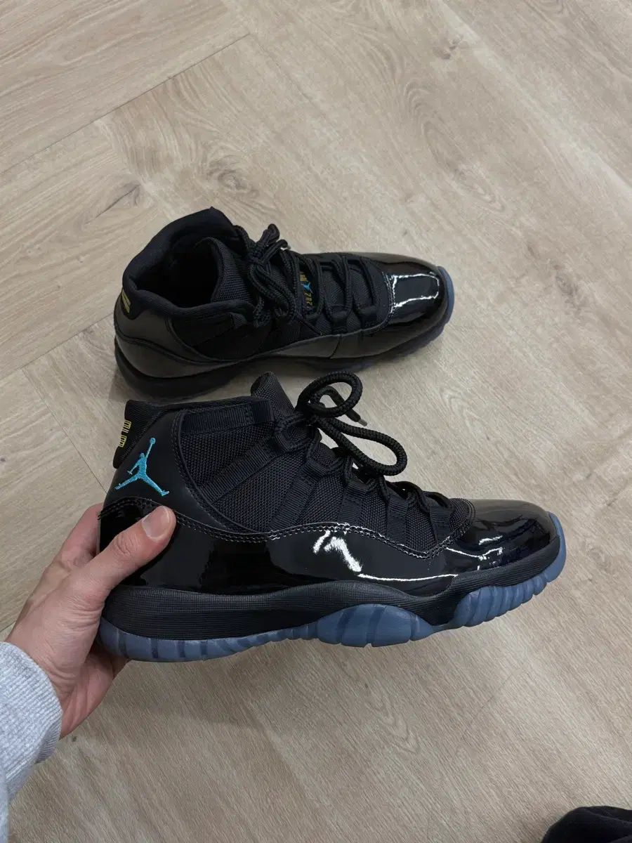 ナイキ エア ジョーダン 11 GAMMA ブルー 265