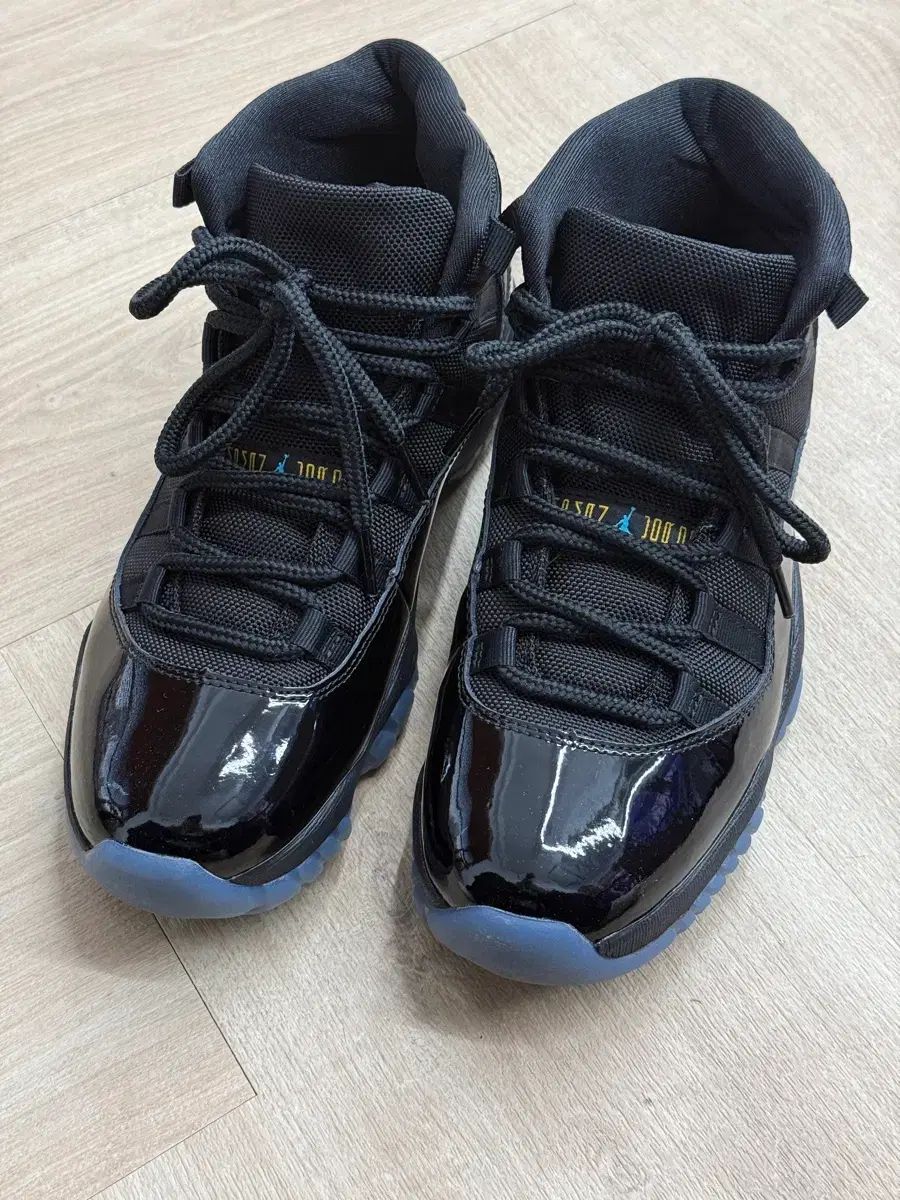 ナイキ エア ジョーダン 11 GAMMA ブルー 265