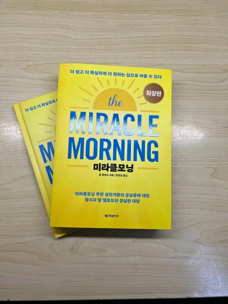 美形株】 オトンナ カカリオイデス チレコドン ピグマエア ムルチ 現地球