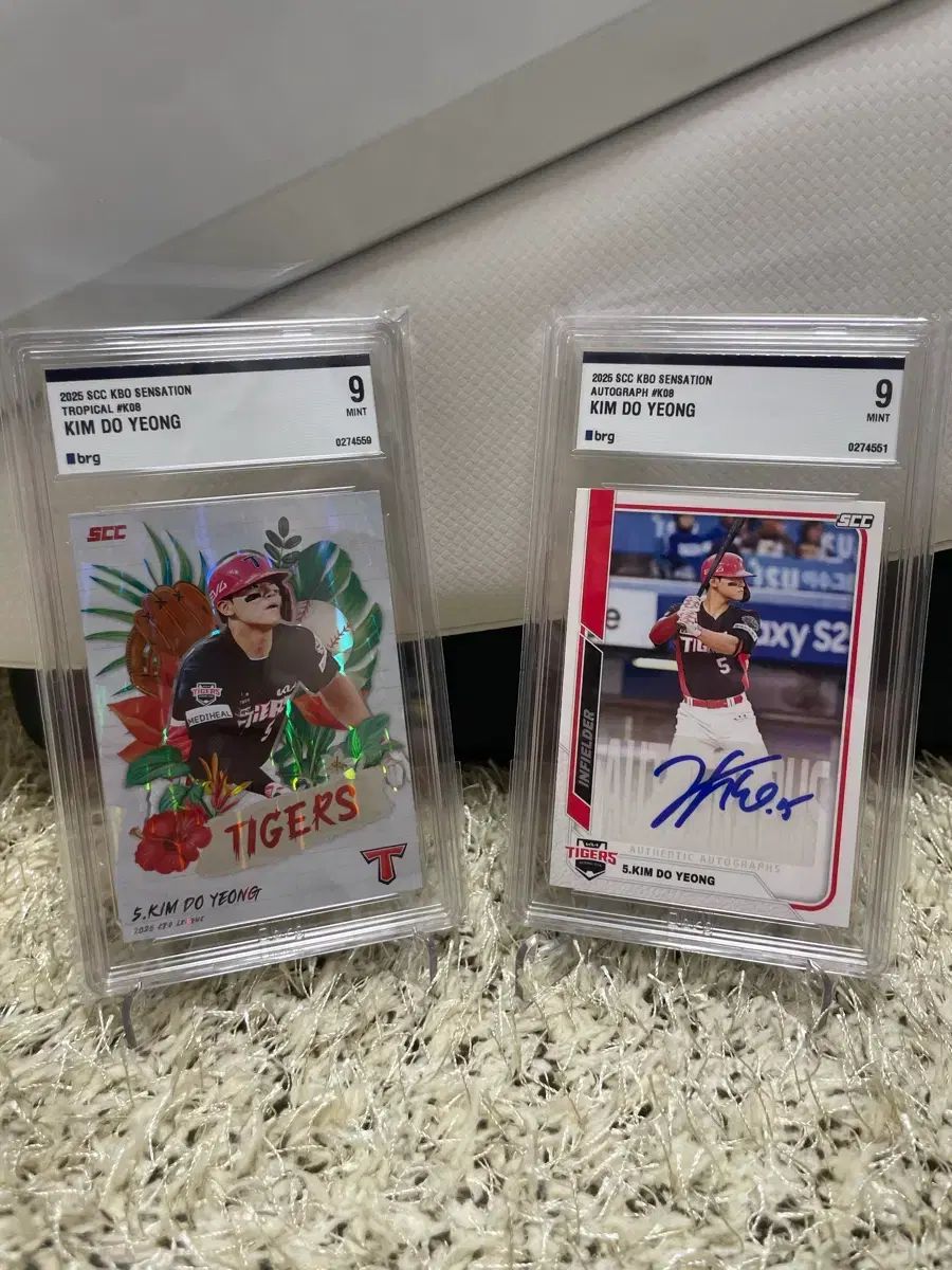 2025 キム ドヨン DOYOUNG オート トロピカル brg 9 セット