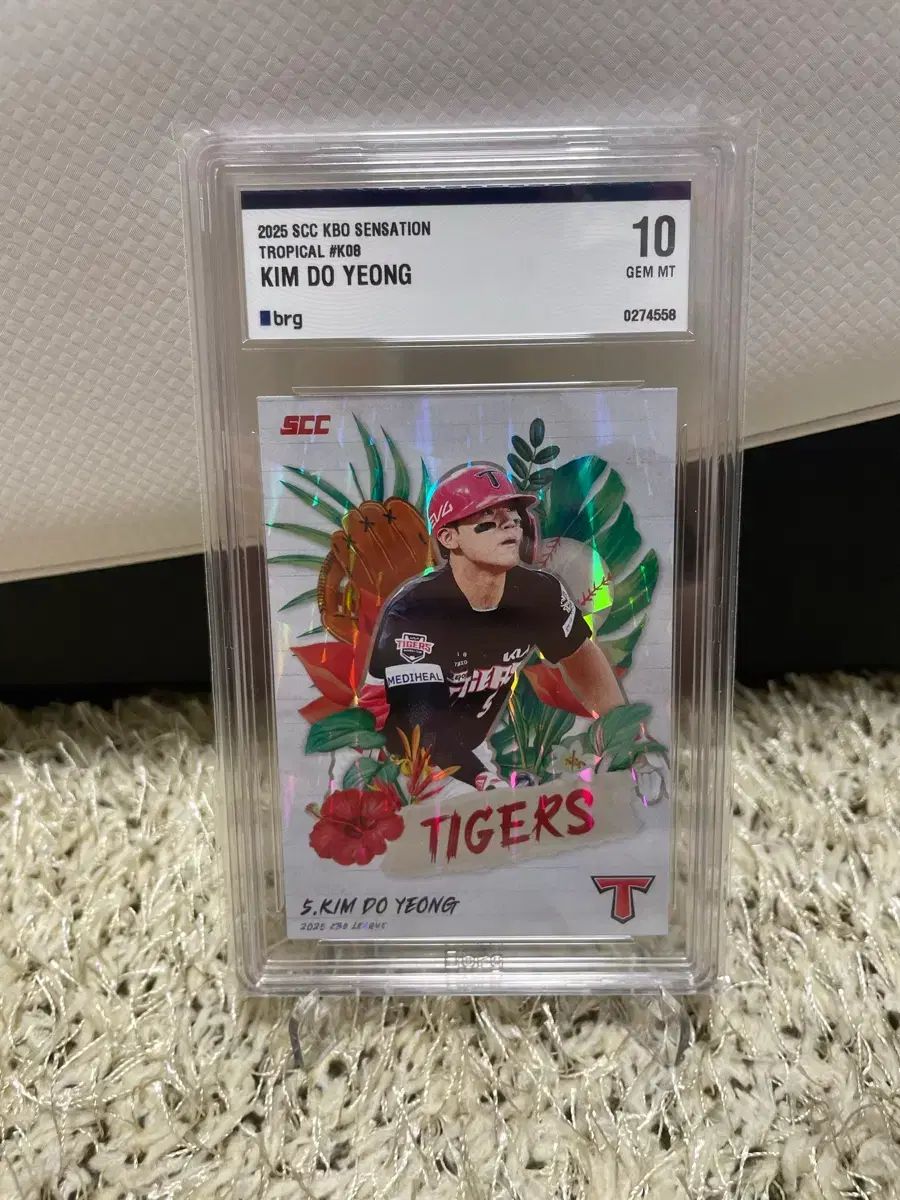 2025 キム ドヨン DOYOUNG トロピカル brg 10