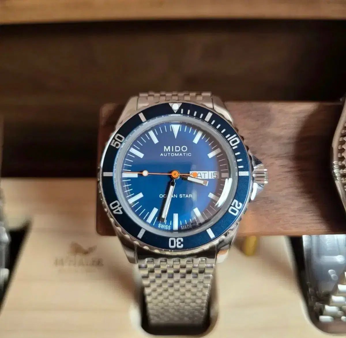 オーシャンスター トリビュート