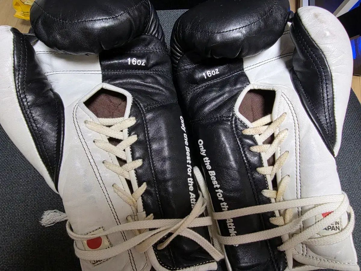 アディショリー グローブ 16オンス レイ