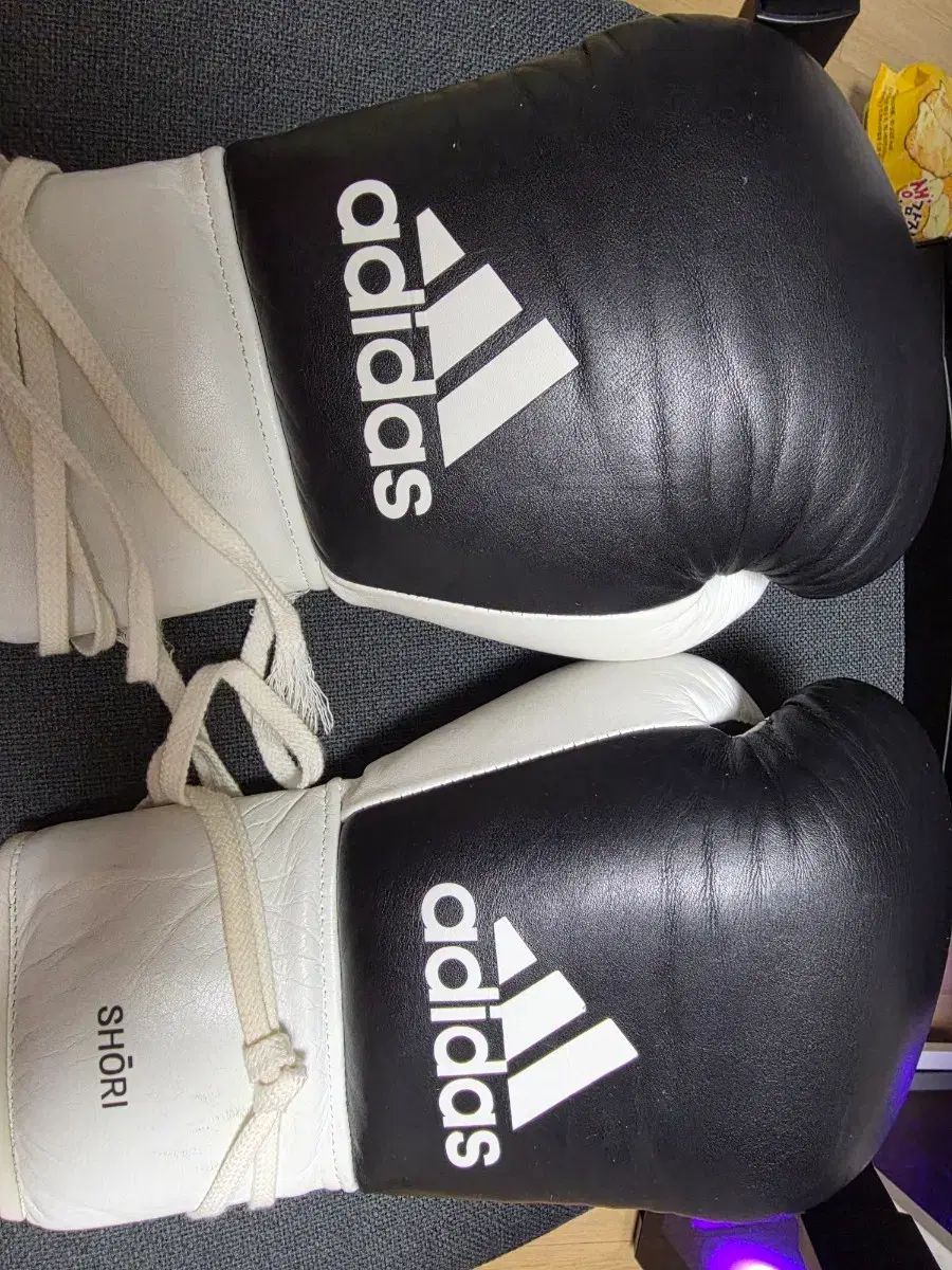 アディショリー グローブ 16オンス レイ