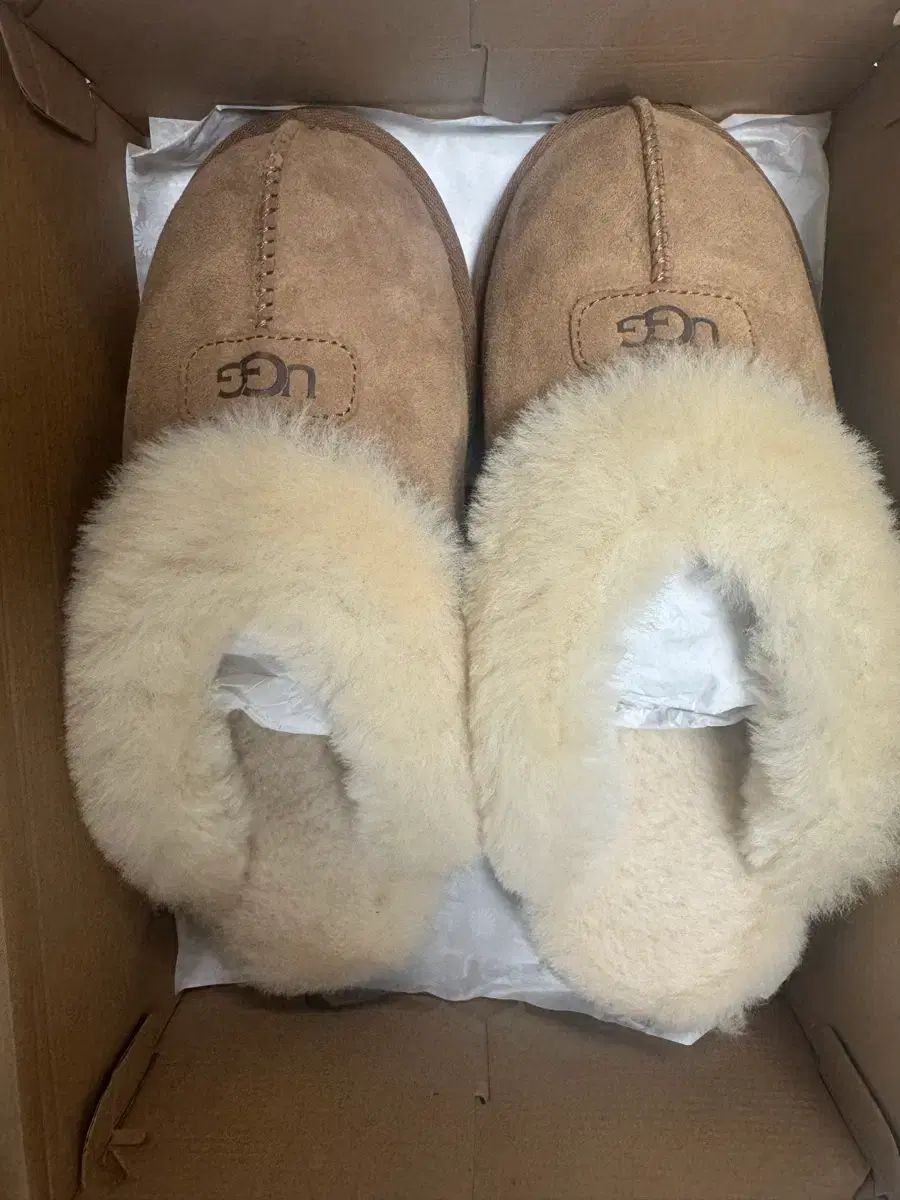 UGG アグ コケット スリッパ 9 260