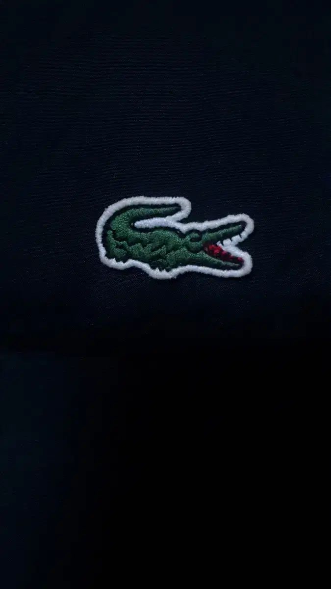 ラコステ ブラック ダウン アウター 95