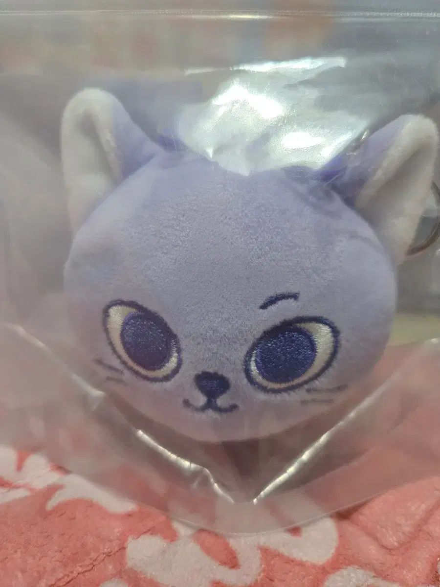 ジャンルレス BOYNEXTDOOR(ボイネク) キャット キーホルダー