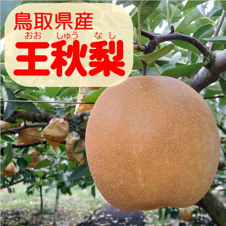 吉井忠、【雪の安達太良山】、希少な大判額装用画集より、美品、日本人画家