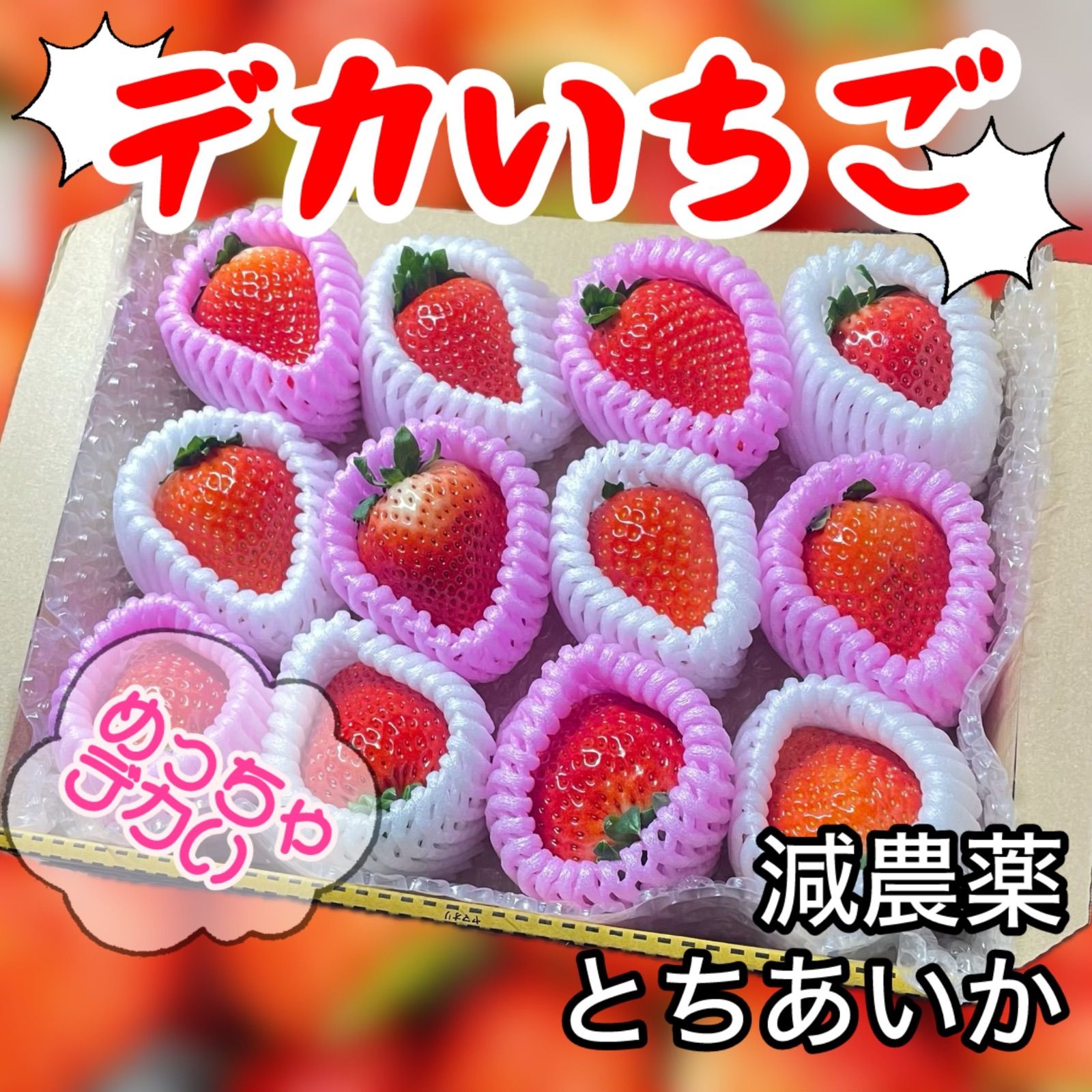 デカいちご　新鮮　朝採れ　とちあいか　減農薬　モリンガ　カカオ デカいちご とちあいか 減農薬 モリンガ カカオ 朝採れ 新鮮 産地直送