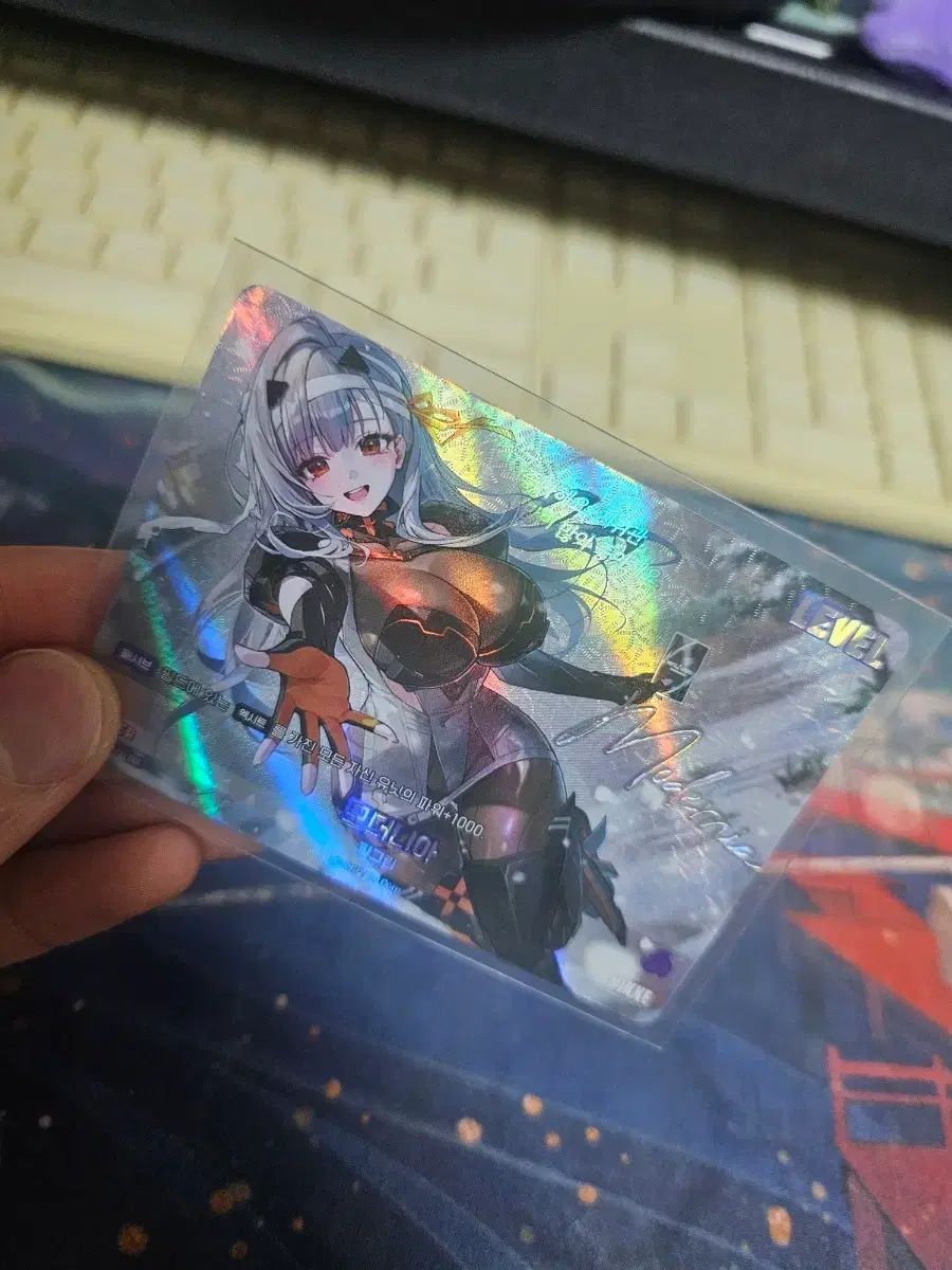 ニベルアリーナ SBL モダニア リーダーサイン