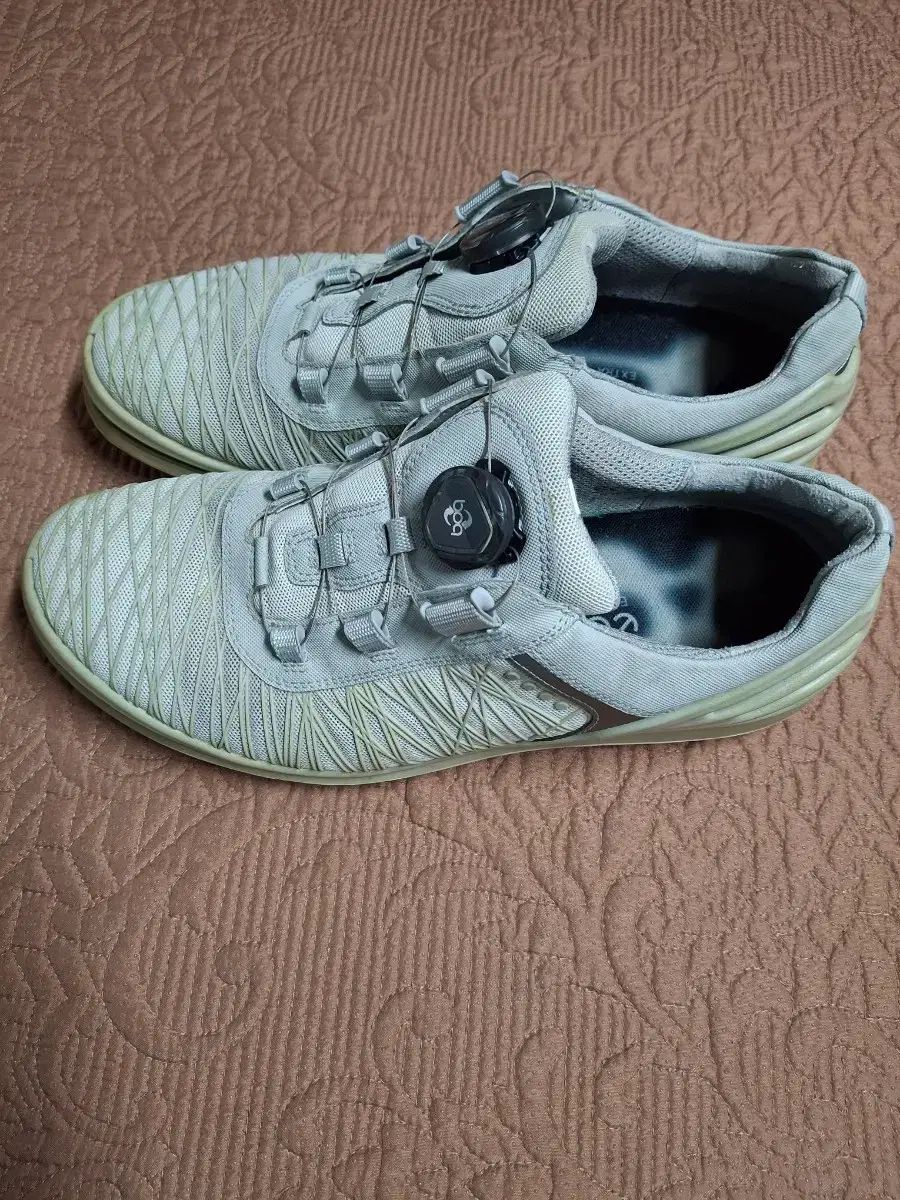 Ecco BoA ゴルフシューズ 1098 42 265