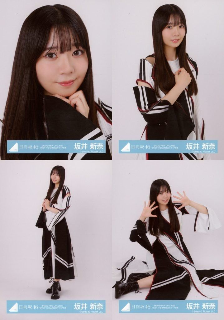 中古】生写真(乃木坂46) ◇日向坂46/坂井新奈/日向坂46ランダム生写真