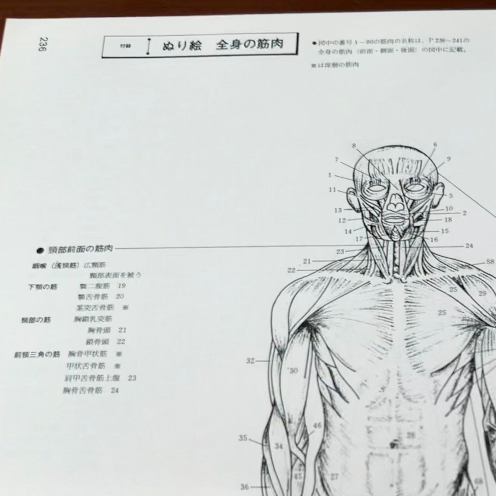 みみずく・アートシリーズ『美術解剖図ノート』：視覚デザイン研究所