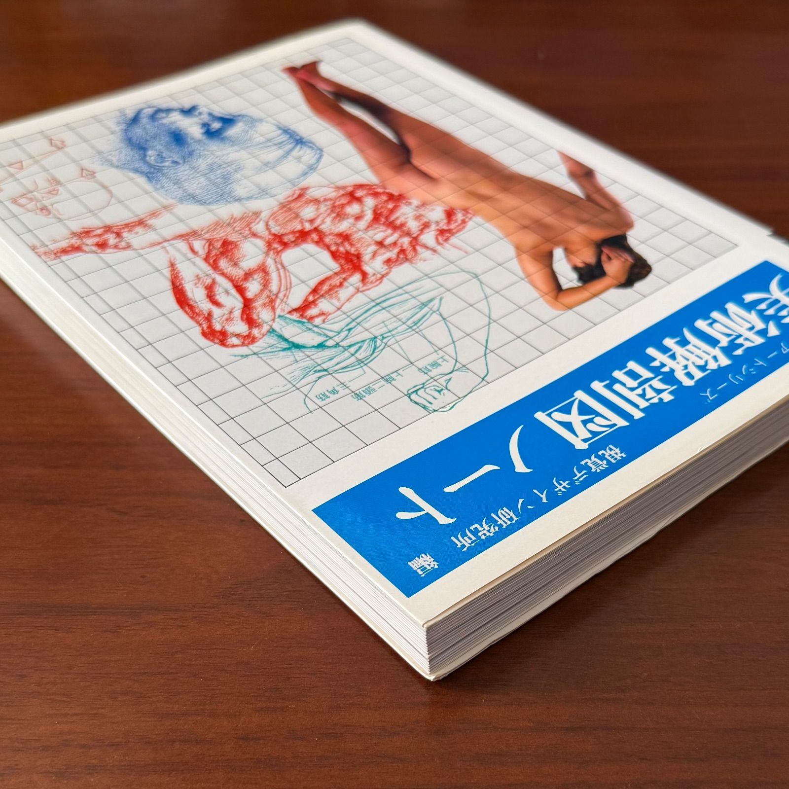 みみずく・アートシリーズ『美術解剖図ノート』：視覚デザイン研究所 