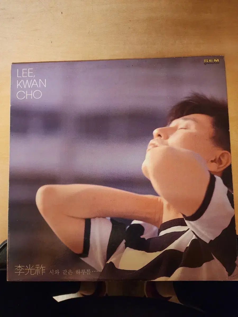 ガ*オ様 響 稲妻 へら竿