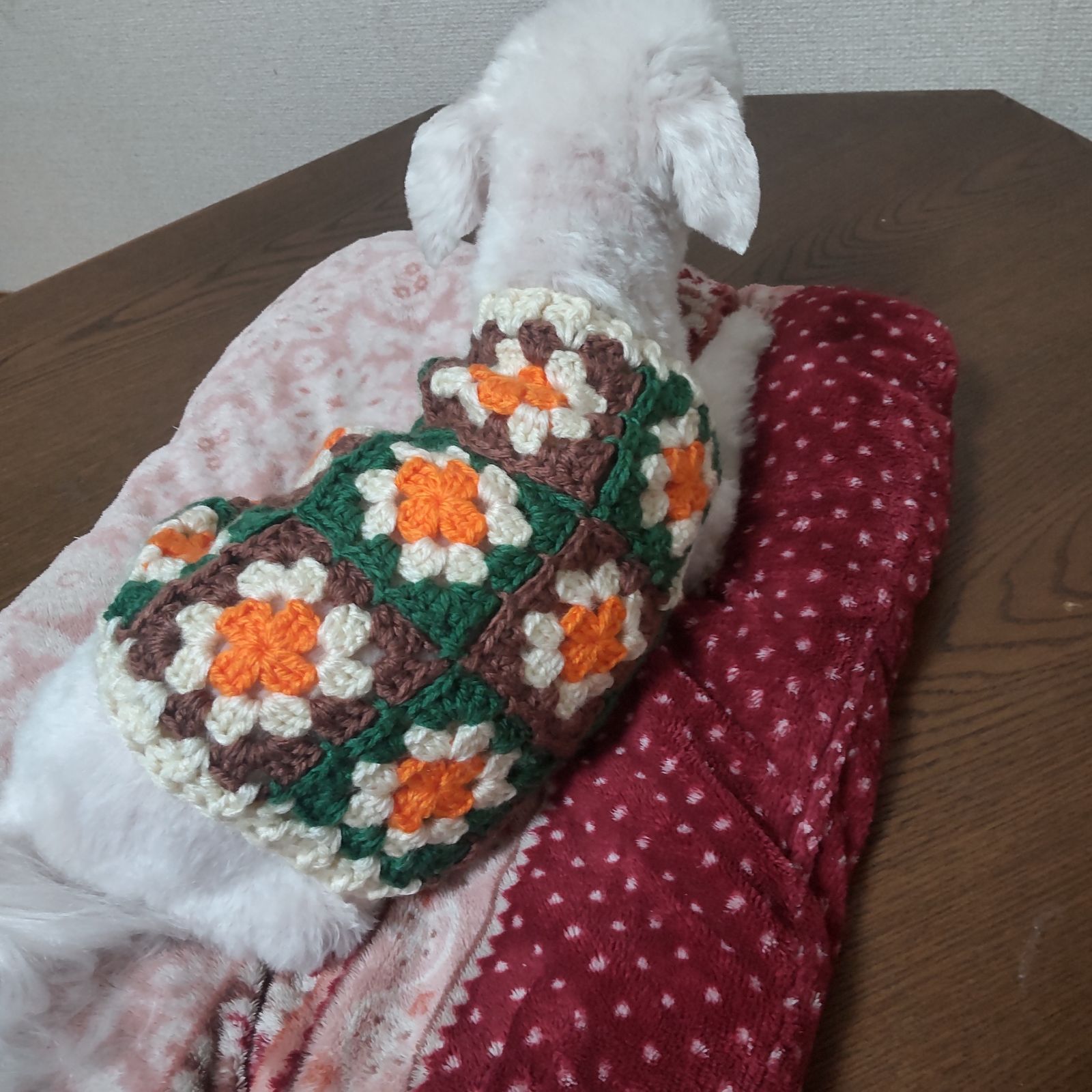 ハンドメイド犬服 手編み カラフルモチーフ - メルカリ